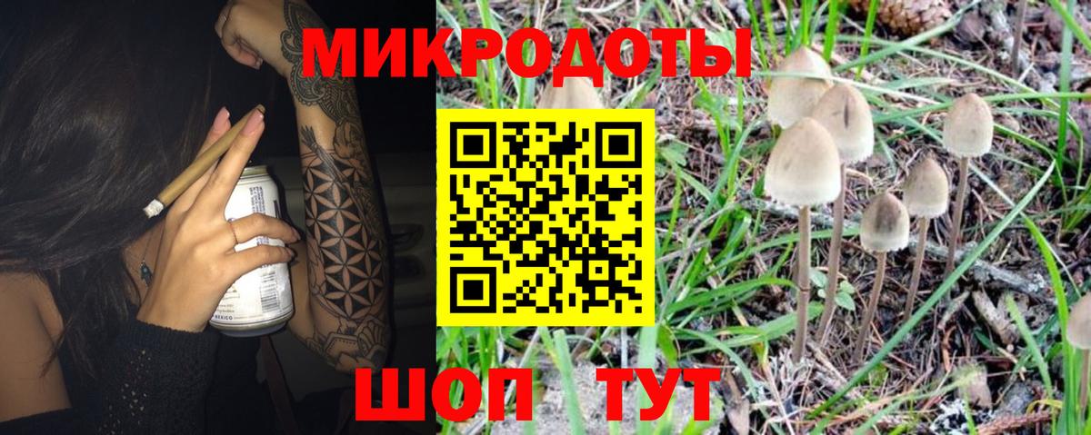 Елец  Псилоцибиновые грибы прущие грибы  сколько стоит  Вход с VPN 