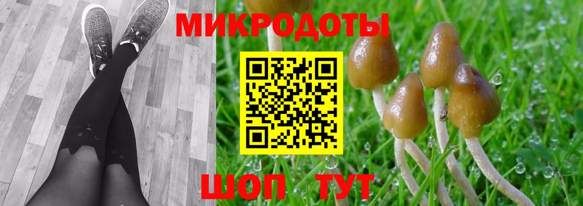 Псилоцибиновые грибы ЛСД Елец